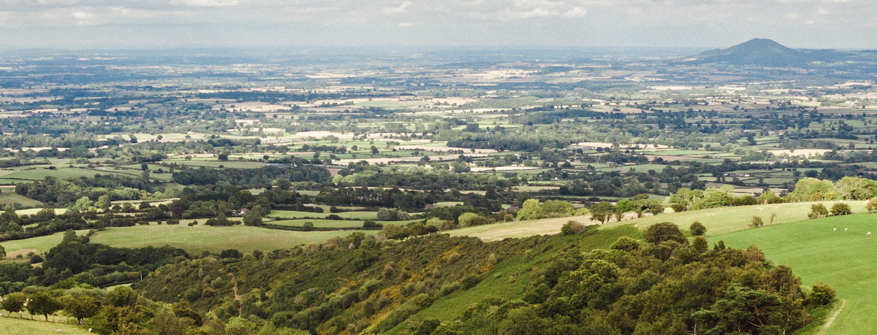 SLOW & SUSTAINABLE BEEKEEPING: OUR VISION