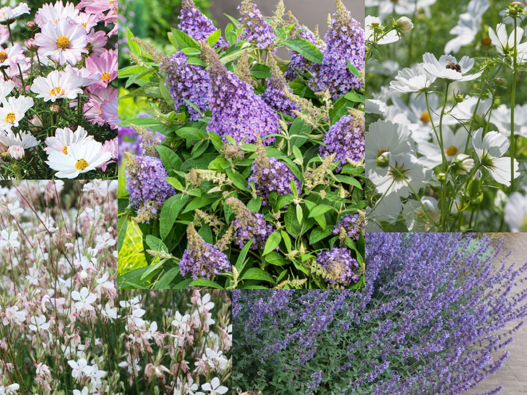 Pot Collection for Balcony or Patio