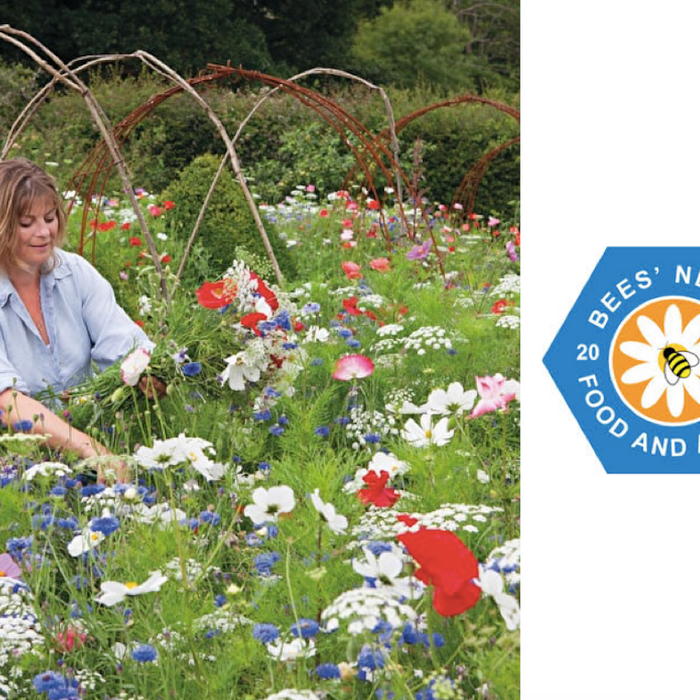 We Talk Bees Needs with Sarah Raven