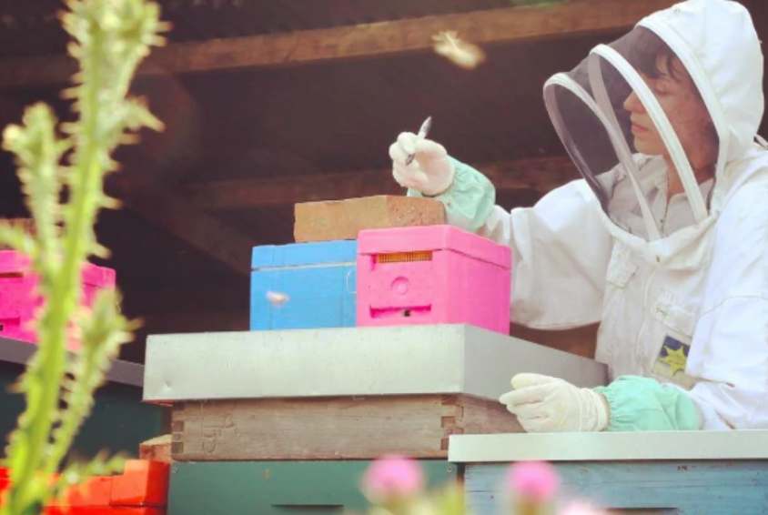 Meet the London Honey Company team: Hannah Reeves