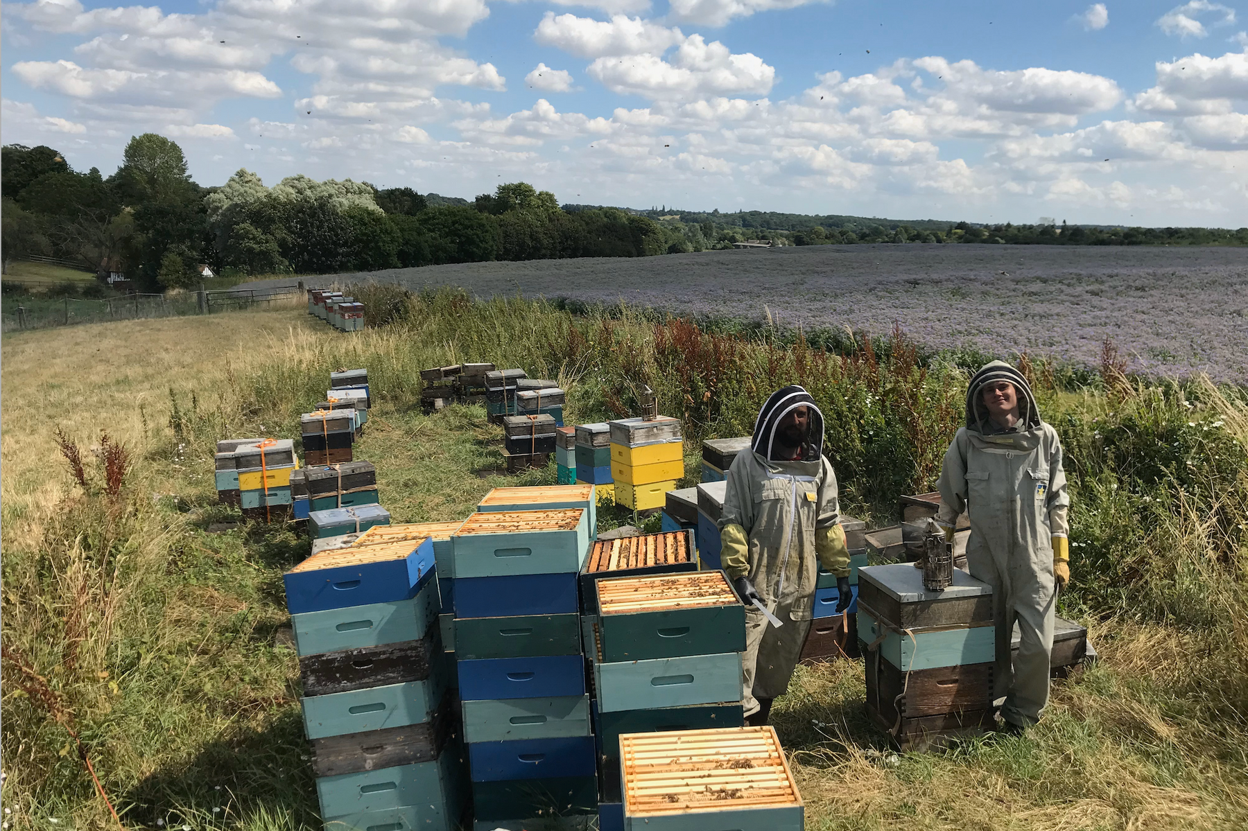 MEET THE LONDON HONEY COMPANY TEAM: GEORGE CHELTON