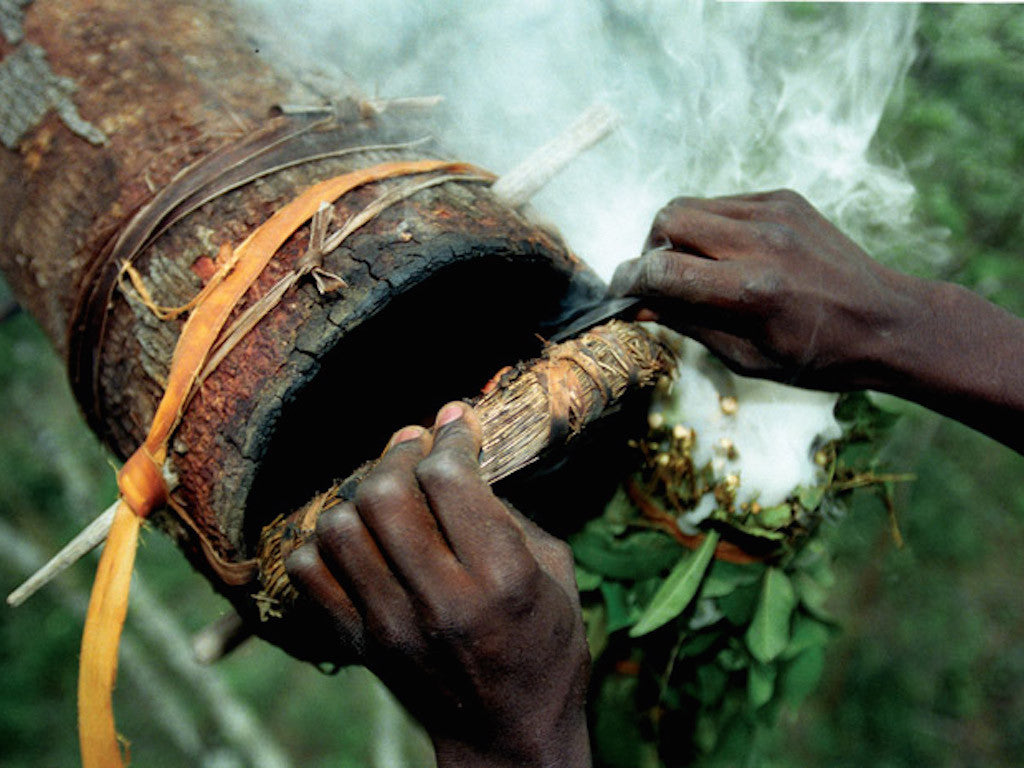 Zambian beehive
