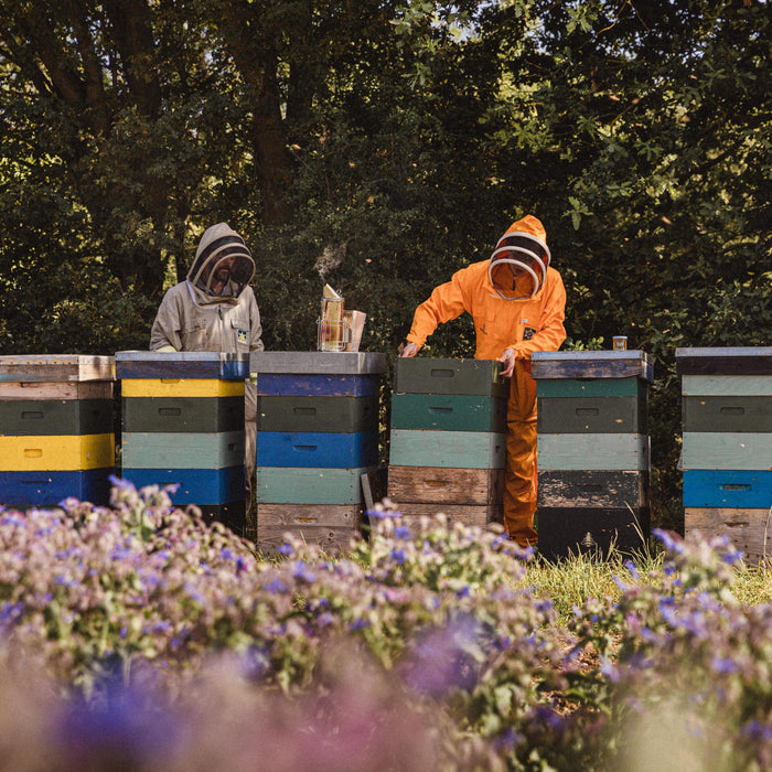 CBD Infused British Borage Honey