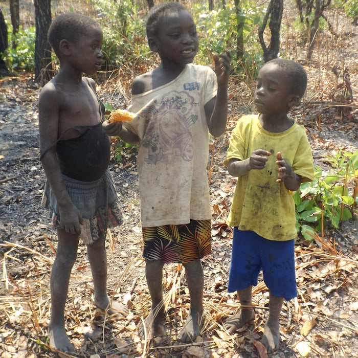 How Our Organic Honey Changes Lives