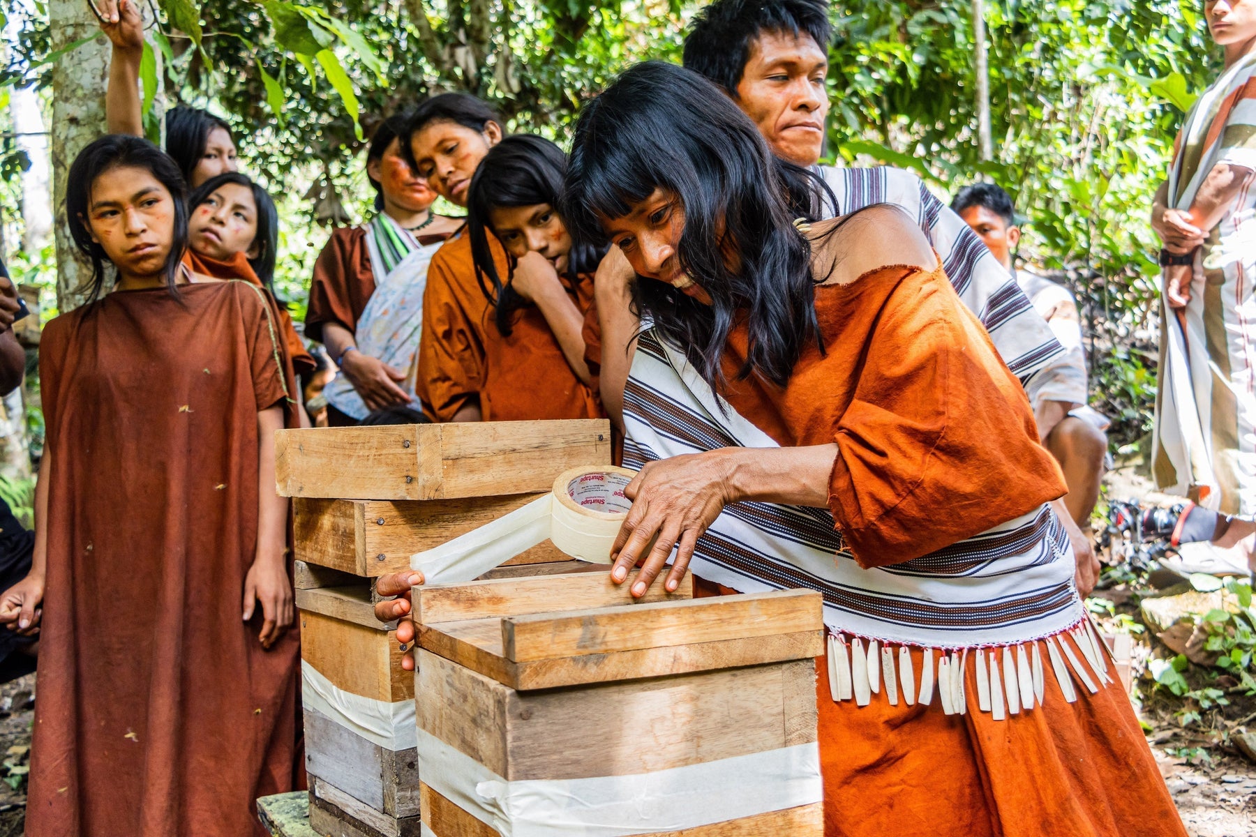 SUPPORTING STINGLESS BEES & INDIGENOUS BEEKEEPING