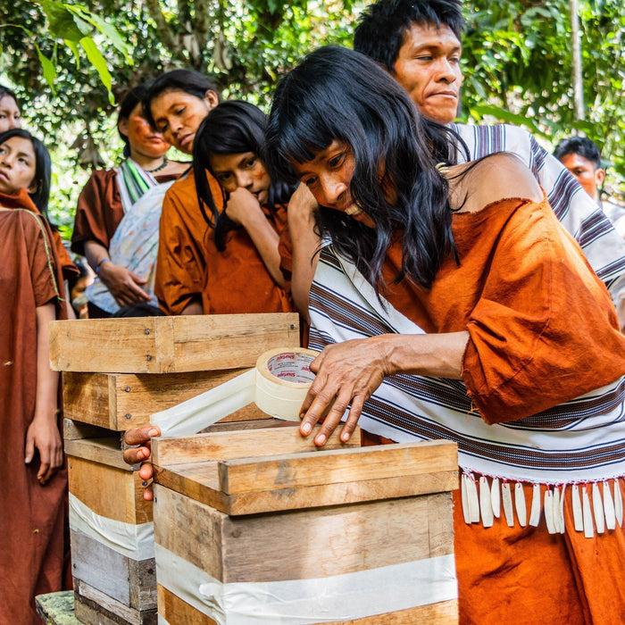 SUPPORTING STINGLESS BEES & INDIGENOUS BEEKEEPING