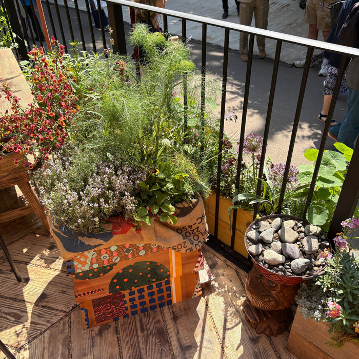 Small Border Plant Scheme