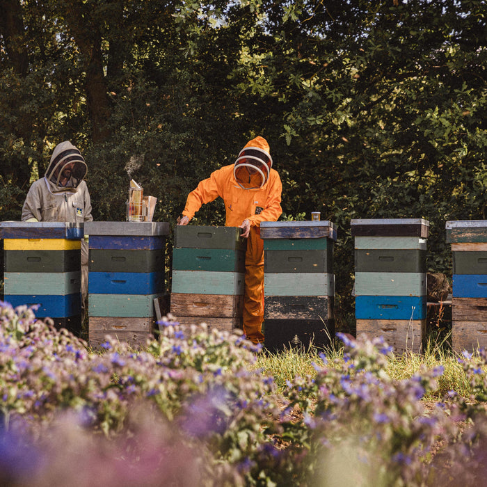 HAYFEVER SEASON WITH HELP FROM THE BEES