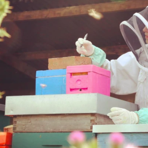 Meet the London Honey Company team: Hannah Reeves