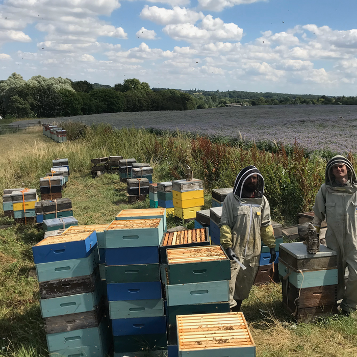 MEET THE LONDON HONEY COMPANY TEAM: GEORGE CHELTON