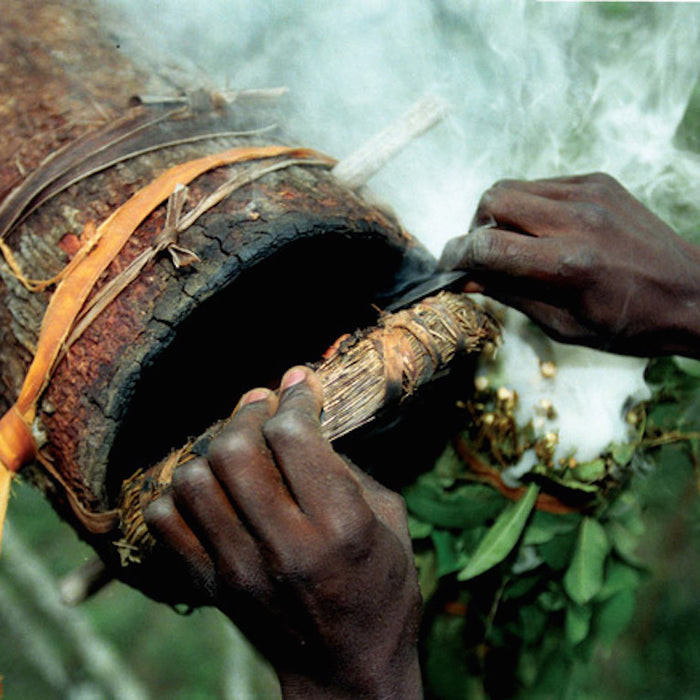 Zambian beehive