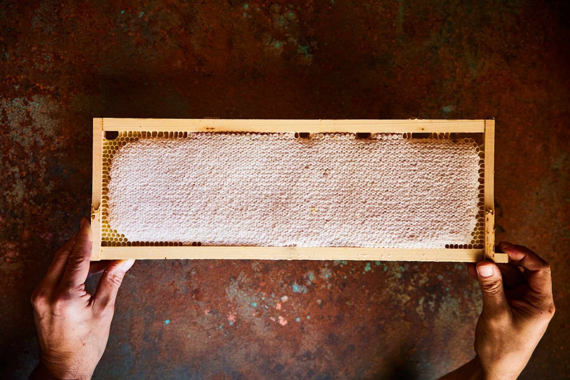 Hand holding a London Honey Co British honeycomb frame against a textured brown background