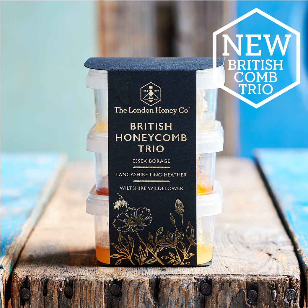 Honey English 20冊セット NEWLHCTrio_1200x1200.jpg?v=